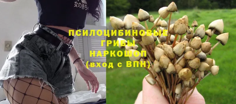 Псилоцибиновые грибы Magic Shrooms Карабаш